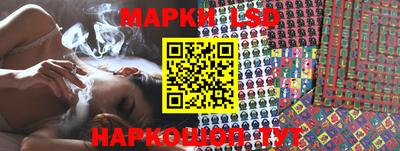 гашик Аргун