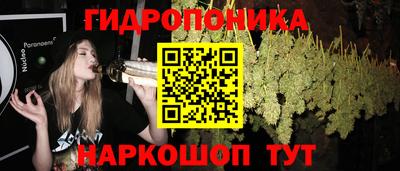 спиды Гай