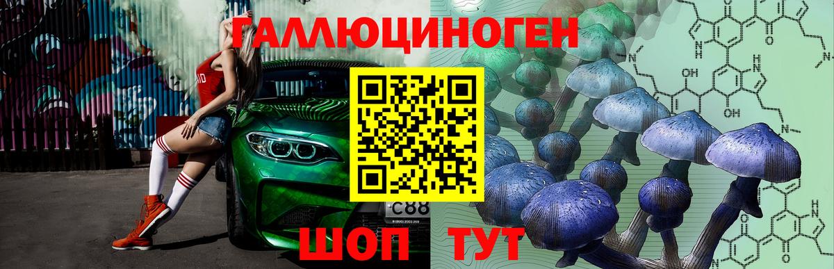 Псилоцибиновые грибы MAGIC MUSHROOMS Белебей